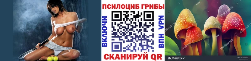 даркнет состав  Николаевск  Галлюциногенные грибы Psilocybe 